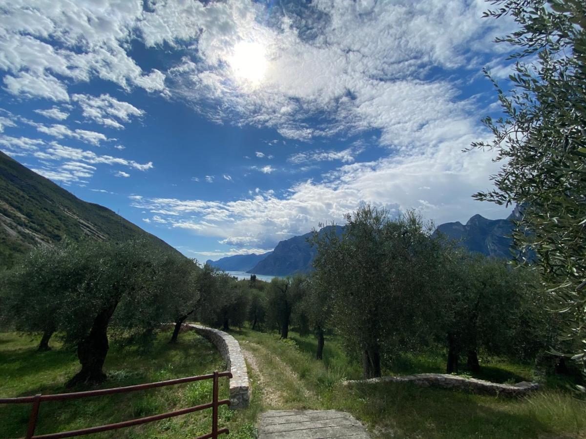 Garda Baldo Apartments_Vivaldi Torbole Sul Garda Exterior foto